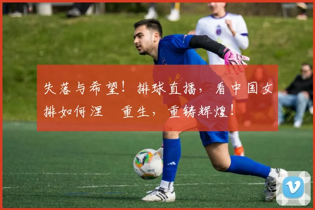 失落与希望！排球直播，看中国女排如何涅槃重生，重铸辉煌！