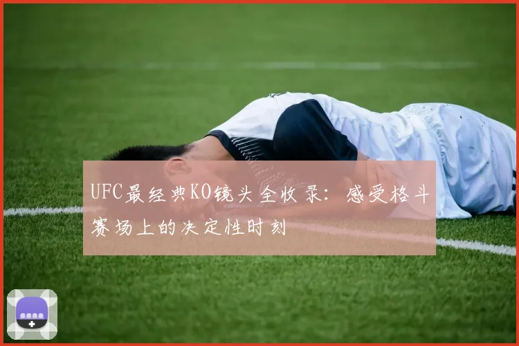 UFC最经典KO镜头全收录：感受格斗赛场上的决定性时刻