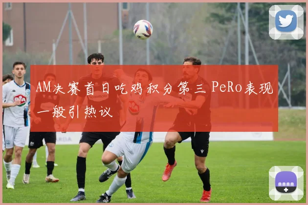 AM决赛首日吃鸡积分第三 PeRo表现一般引热议